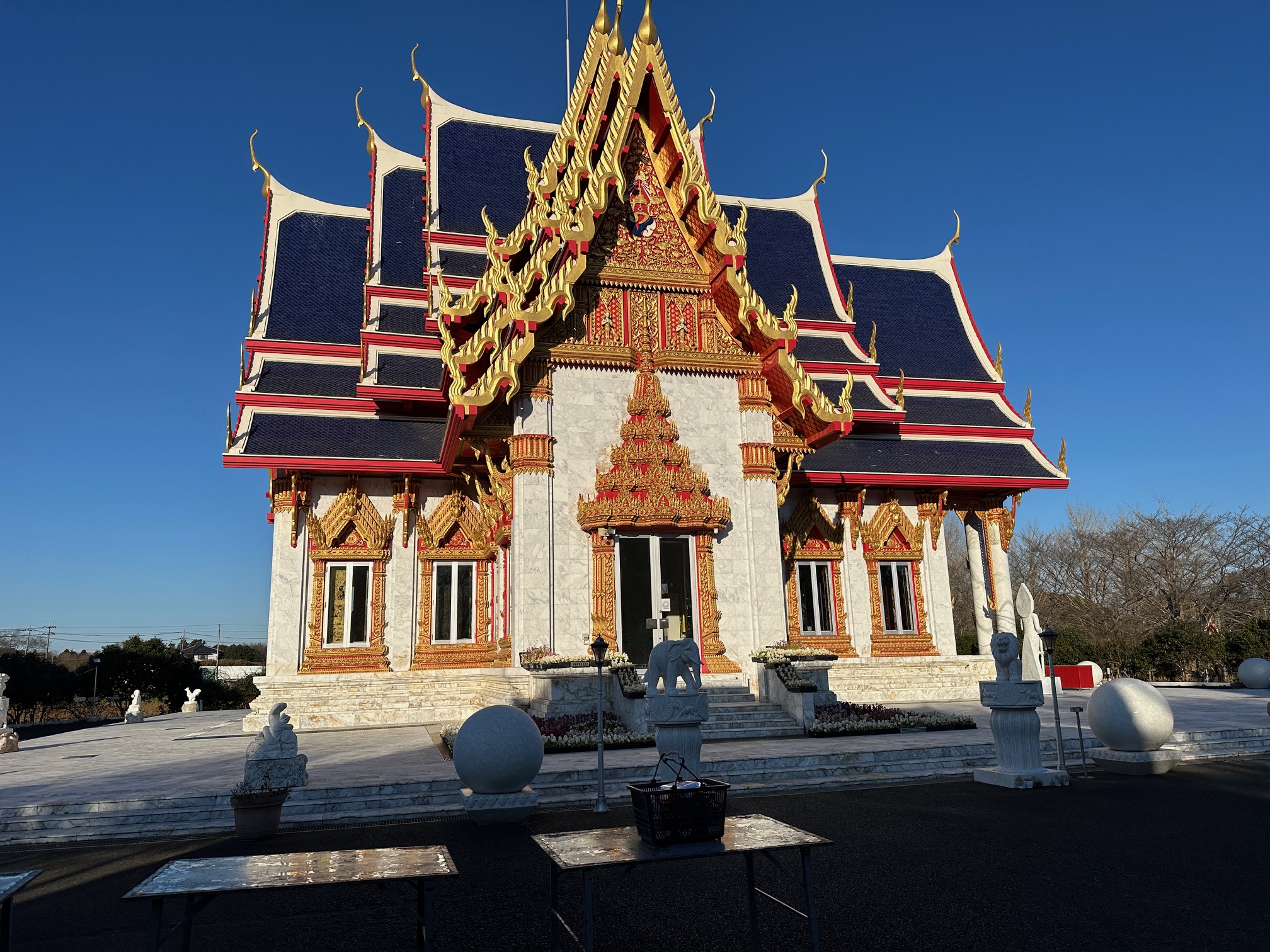 こんにちは！！
はじめまして。自己紹介